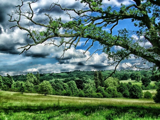 Kent England Sky United Kingdom Landscape Scenic